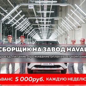 Сборщик на Haval/Питание проживание