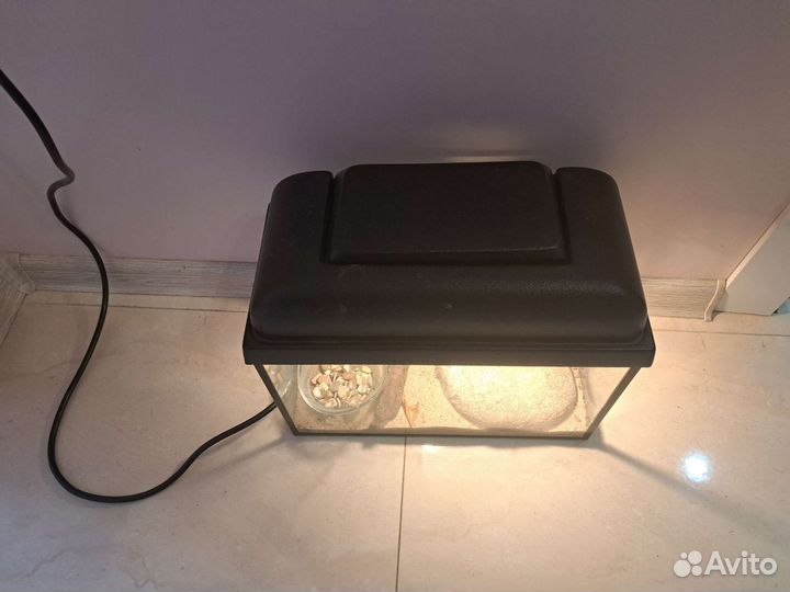 Аквариум 10 литров