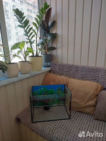 Аквариум 15-20л