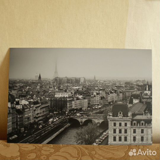 Фотокартина панорама Парижа ч/б 30х45