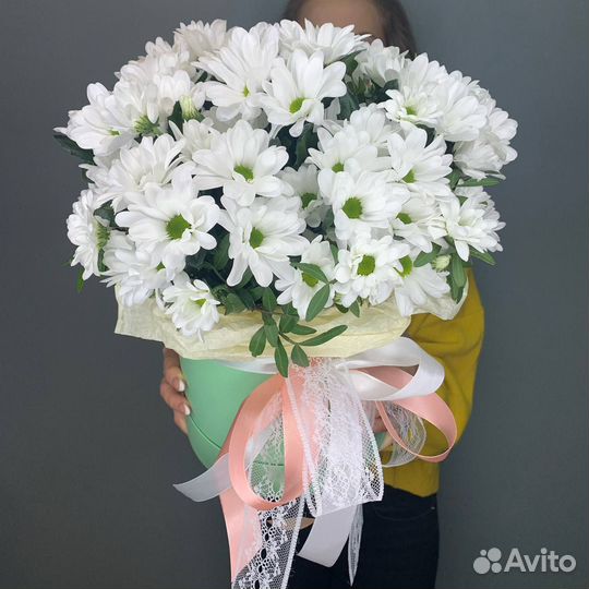 Кустовая ромашковая хризантема