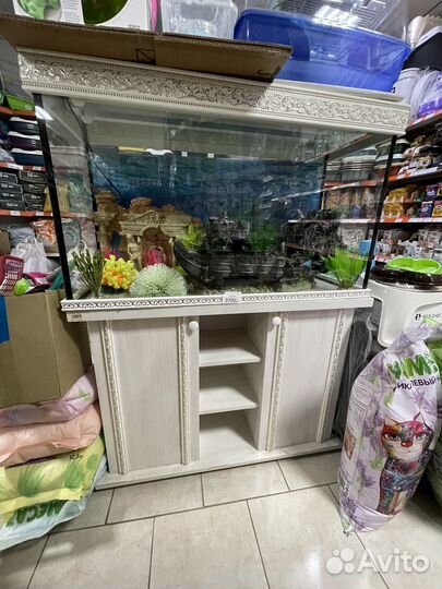 Аквариум террариум