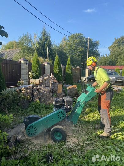 Удаление, обрезка, кронирование деревьев