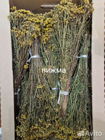 Травы для бани