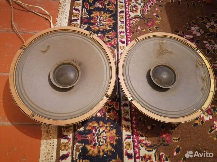 Динамики 4а28 и биги