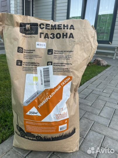 Семена газонной травы