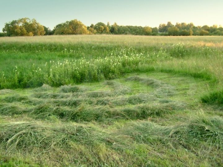 Участок 450 га (СНТ, ДНП)