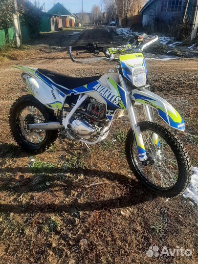 Avantis FX250