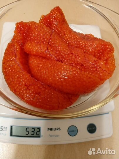 Форель охлажденная оптом