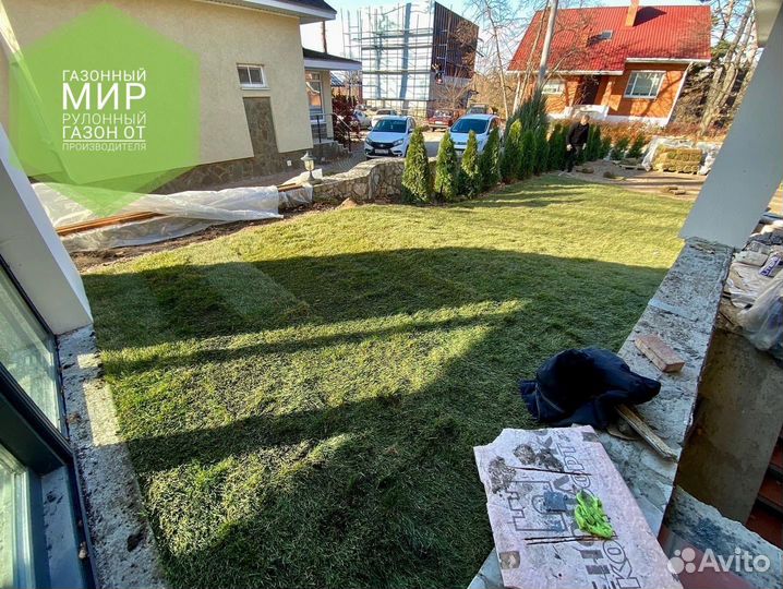 Рулонный газон