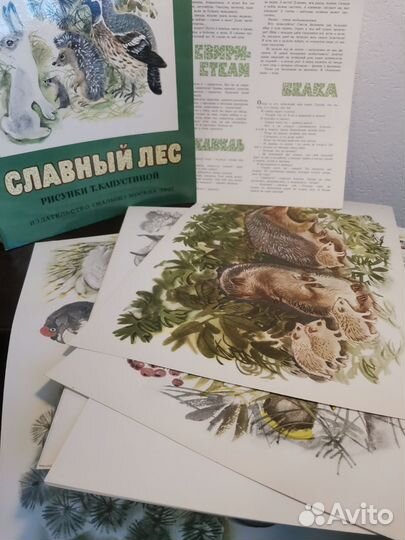 Книга для детей набор картин Славный лес