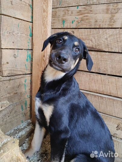 Знакомьтесь- Бонд, Джеймс Бонд