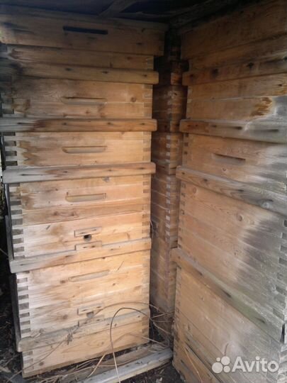 Дадановские ульи