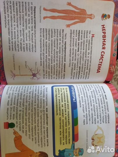 Первая энциклопедия школьника