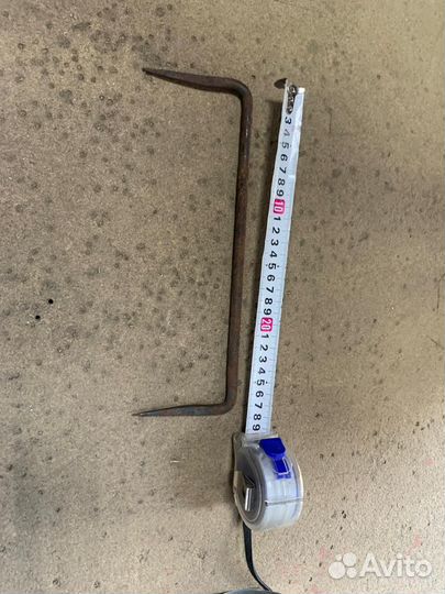 Фазан охотничий 2 летка. Самец