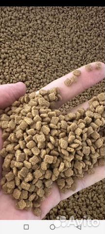 Сухой корм для кошек