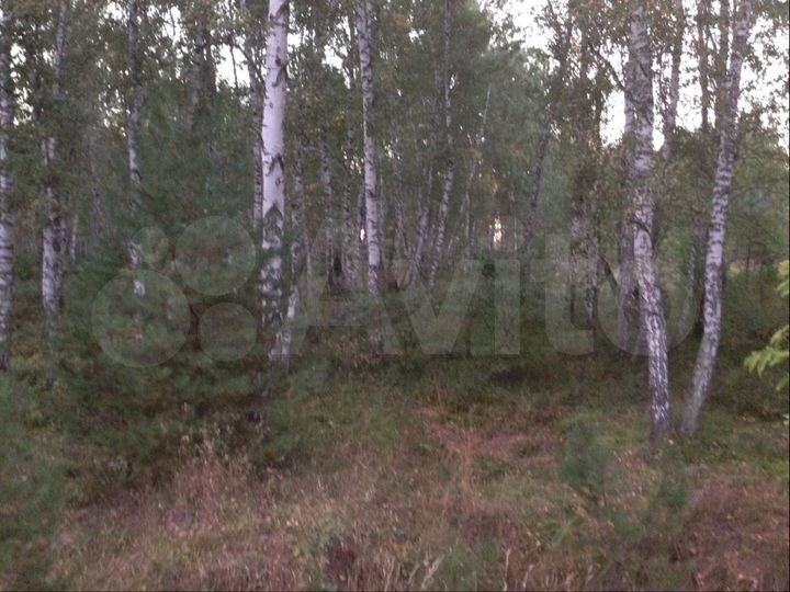 Участок 27 сот. (ИЖС)