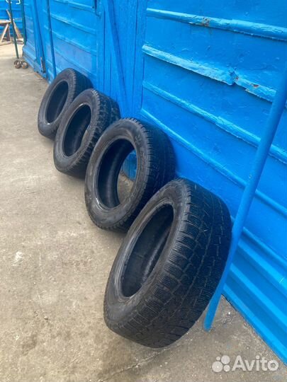 Cordiant Polar SL 195/65 R15