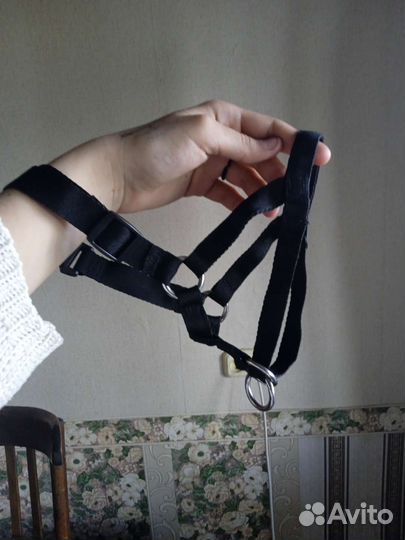 Халти для собак, Намордник для собак