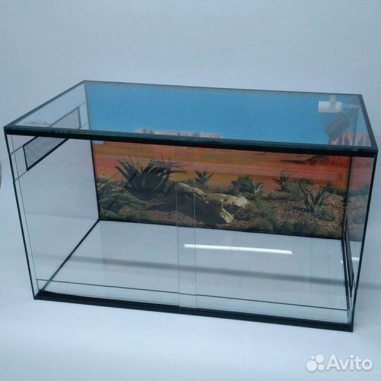 Террариум для агамы