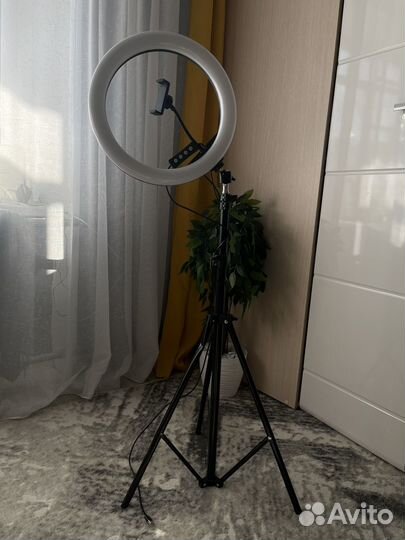 Кольцевая лампа