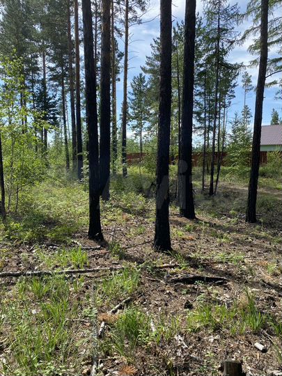 Участок 10 сот. (ИЖС)