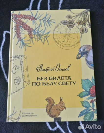 Н. Осипов. Без билета по белу свету