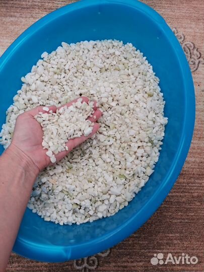 Растения, грунт