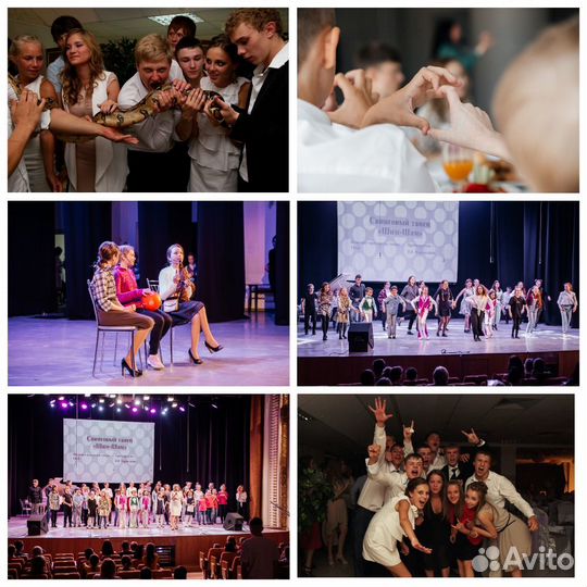 Видеооператор и фотограф