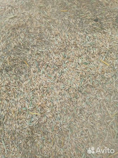 Зерноотходы