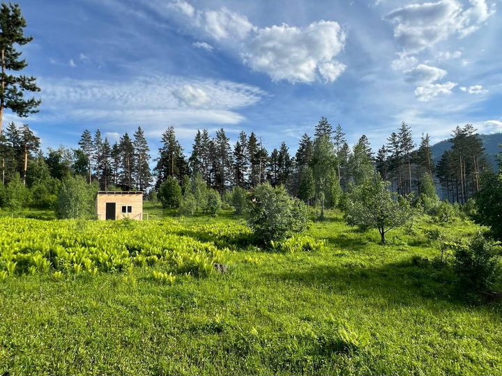 Участок 11 сот. (ИЖС)