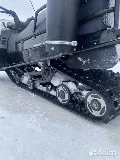 Тайга варяг 550