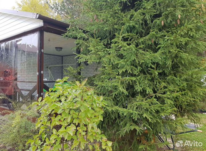 Мягкие окна