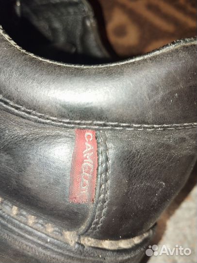 Мужские ботинки camelot