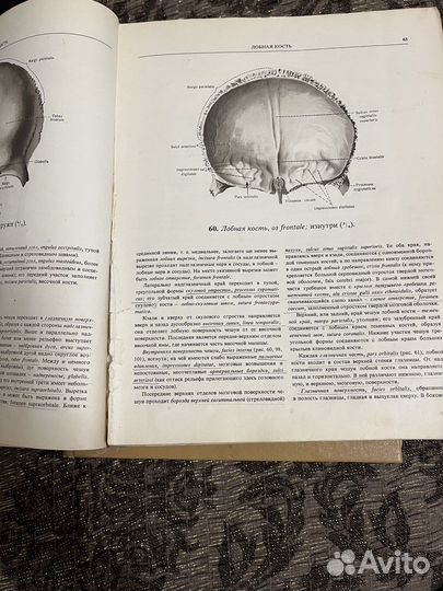 Атлас по анатомии Синельников 2 том