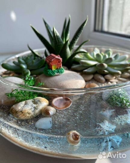 Флорариум с суккулентами и имитацией озера