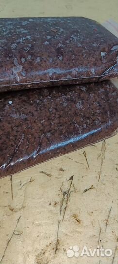 Еда для всех видов рыб