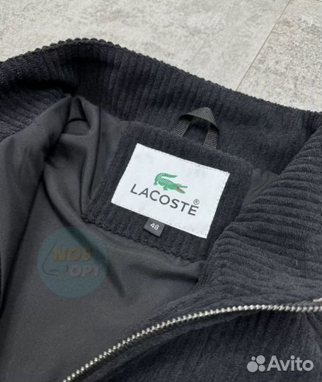 Мужская кофта old money lacoste