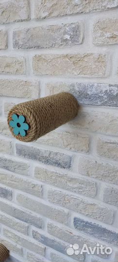 Когтеточка