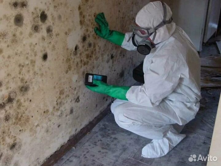 Уничтожение клещей, тараканов, клопов, Дезинфекция