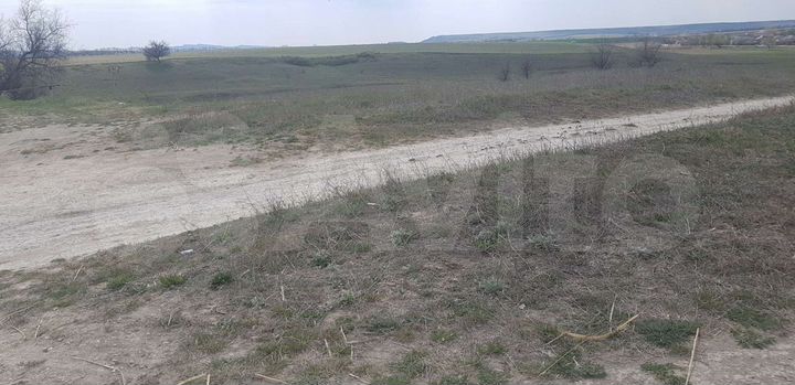 Участок 53 сот. (СНТ, ДНП)