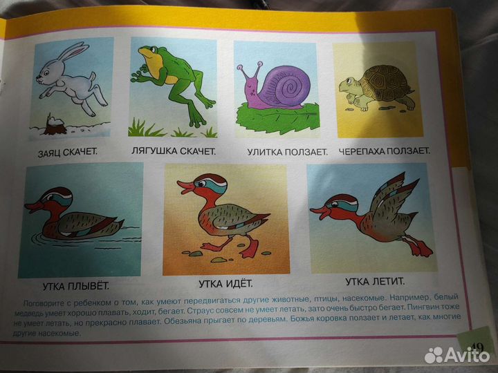 Альбом по развитию речи 3-6 лет