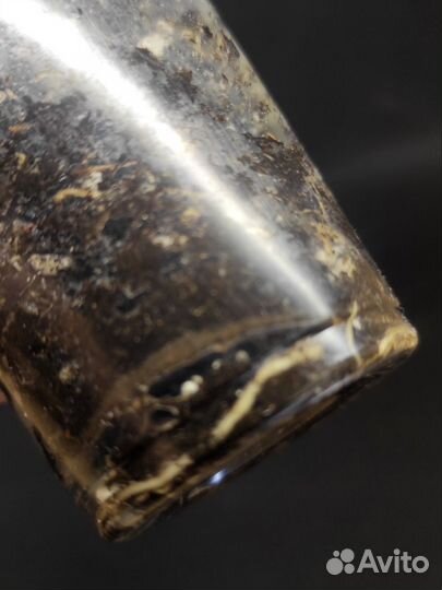 Монстера Альба вариегатная