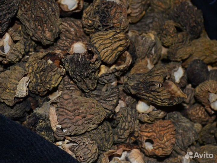 Грибы Сморчки Сушеные и Строчки Сухие