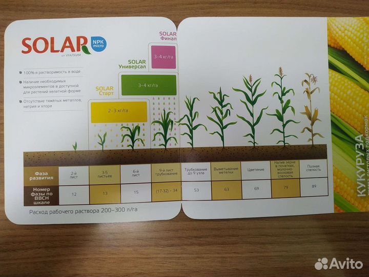 Solar 18:18:18