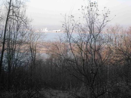 Участок 1,5 га (ИЖС)