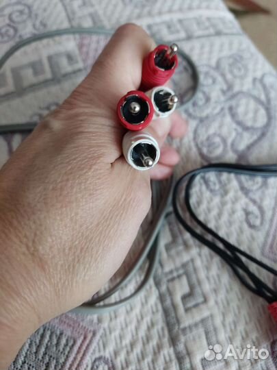 Тюльпаны провода