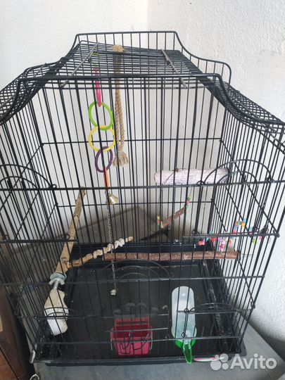 Клетка для попугая