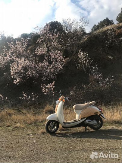 Honda crea scoopy