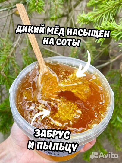 Невкусный Дикий мед